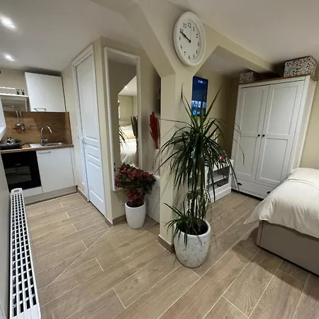 Appartement F1 Climatisee Rez De Chaussee * Illkirch-Graffenstaden