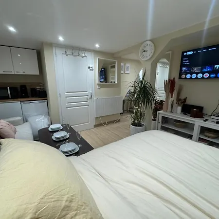 Appartement F1 Climatisee Rez De Chaussee * Illkirch-Graffenstaden