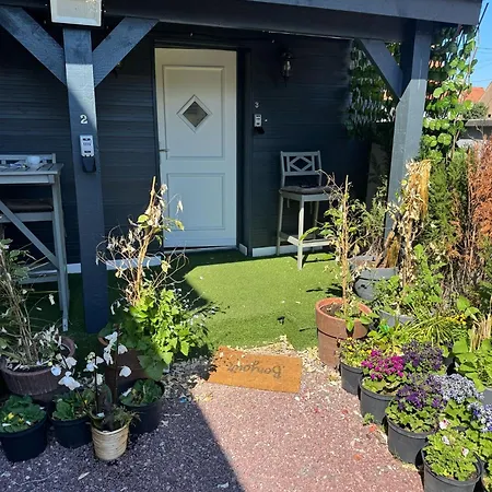 F1 Duplex Rez De Chaussee * Illkirch-Graffenstaden